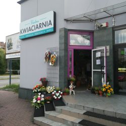 Studio Florystyczne Paulina Pociecha/ Kwiaciarnia (Nowy Sącz )