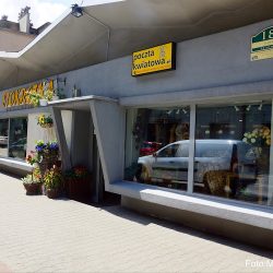 Studio Florystyczne „stokrotka” (Bytom )