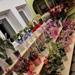 Studio Kawiatowe Sweet Flowers Ul.robotnicza 7 (Rzeszów )