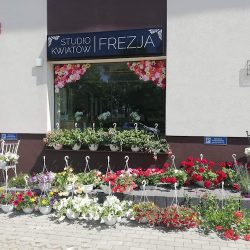 Studio Kwiatów