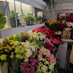 Studio Kwiatowe Es Flores (Ostrowiec Świętokrzyski )