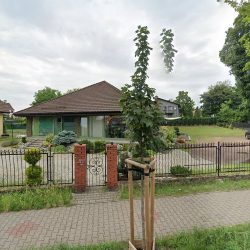 Studio Kwiatowe Jezierscy (Gliwice )