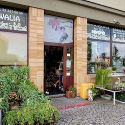Studio Kwiatowe Konwalia (Tychy )