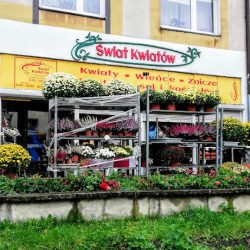 Swiat Kwiatów (Dębno )