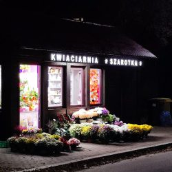 Szarotka (Sosnowiec )