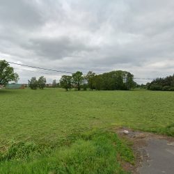 Sztucka Józefa. Wyrób Wieńców I Wiązanek (Grabów nad Prosną en Merlo San Luis)