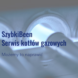 Szybkibeen Autoryzowany Serwis De Dietrich, Baxi (Przemyśl )