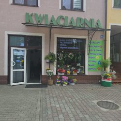 Szymczyszyn Alicja. Kwiaciarnia (Gubin )