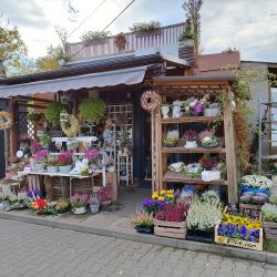 Taka Mała Kwiaciarnia Joanna Teper-truty (Kraków )