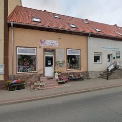 Tataranian Hanna. Sklep Kwiatami (- )