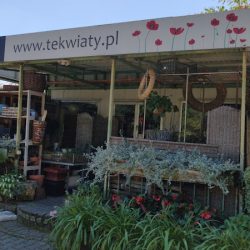 Te Kwiaty (Chrząstowice en Merlo San Luis)