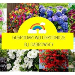 TĘcza KwiatÓw (Suchoczasy )