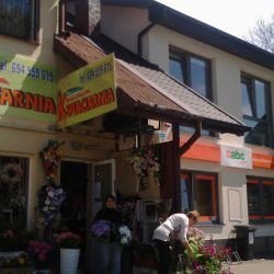 Tęczowa Kwiaciarnia Florystyka Ślubna Bukiety Okolicznościowe (Jasieniec )