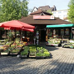 Telekwiaciarnia Kraków - Florystyczna Poczta, Kwiatowa Dostawa (Kraków )