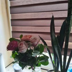 Telekwiaciarnia Radom - Florystyczna Poczta, Kwiatowa Dostawa (Radom )