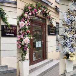 Tendom K. Sobczyk-osuchowska, M.olesiŃska S.c. (Otrębusy )