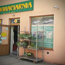 Tomczak Beata. Kwiaciarnia (Kutno )