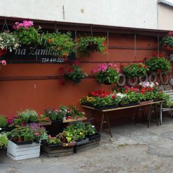 Trzecka Donata. Kwiaciarnia (Kruszwica )