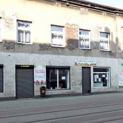 Tulipan. Kwiaciarnia (Katowice )