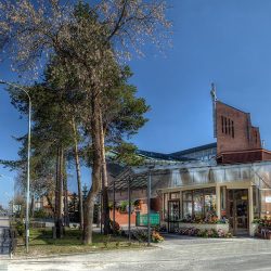 Tulipan. Kwiaciarnia. Lekan L. (Stalowa Wola )