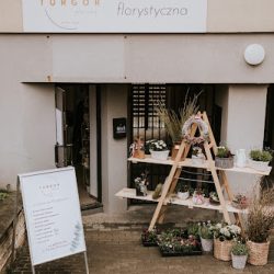 Turgor - Pracownia Florystyczna (Ełk )