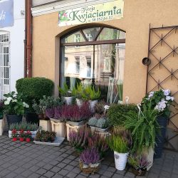 Twoja Kwiaciarnia. Ph. Kujawa W. (Wejherowo )