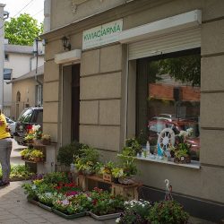 U Ani - Kwiaciarnia (Gdańsk )