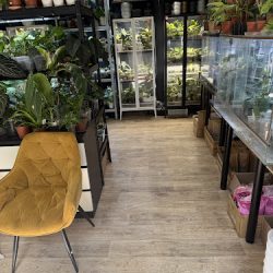 Variegarden Rośliny Kolekcjonerskie (Dąbrowa Górnicza )