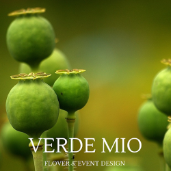 Verde Mio (Nieporęt )