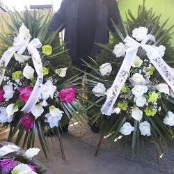 Viktoria. Kwiaciarnia (Białystok )