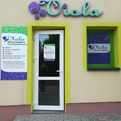 Viola Wioletta Szwast (Chorkówka )