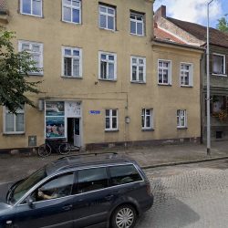 Viola (Witnica )