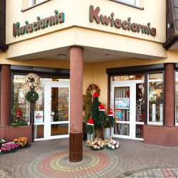 Viro S.c. Kwiaciarnia. Walewscy-ogrodnik I.r. (Mińsk Mazowiecki )