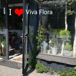 Viva Flora Pracownia Florystyczna (Zawada en Merlo San Luis)