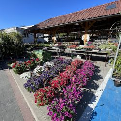 W Krainie Kwiatów M&k (Kędzierzyn-Koźle en Merlo San Luis)
