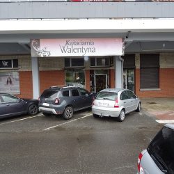 Walentyna Kwiaciarnia - Walentyna Sławińska ( Pasaż ) (Mielec )