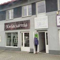 Wanessa. Kwiaciarnia. Firlit B. (Gromnik )