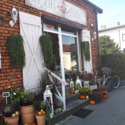 Warsztat Inspiracji Ewa Kowalska (Włoszczowa en Merlo San Luis)