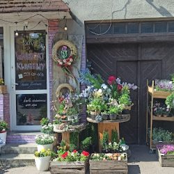 Warsztat Kwiatowy (Kórnik en Merlo San Luis)