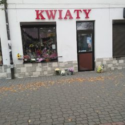 Waszczuk Grażyna. Kwiaciarnia (Biała Podlaska en Merlo San Luis)