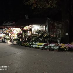 Wianki U Anki Anna Wtorkowska (Nadarzyn )
