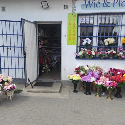 Wić & Płomyk (Wyszków )