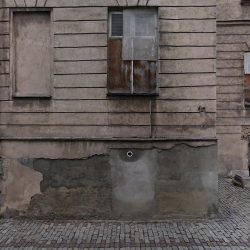 Więckowska Aleksandra. Galeria Florystyczna (Lublin )