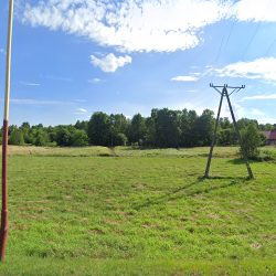 Wiktoria. Kwiaciarnia. Bechta T. (- )