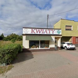 Wiosna. Kwiaciarnia (Krapkowice en Merlo San Luis)