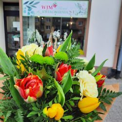 Wjm Florist Anna Bąk (Biała en Merlo San Luis)