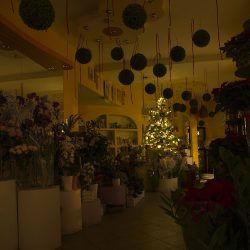 Wrzosek Eliza. Studio Florystyczne (Siedlce )