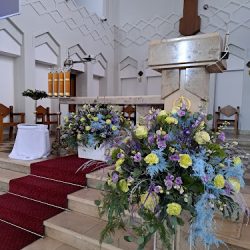 Wyspa KwiatÓw Ewa-dekor (Toruń )