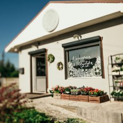 Z Głową W Kwiatach Kwiaciarnia & Florystyka Klaudia Antkiewicz (Czerwonak en Merlo San Luis)
