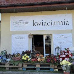 Z Róż Pędu (Zielonki )